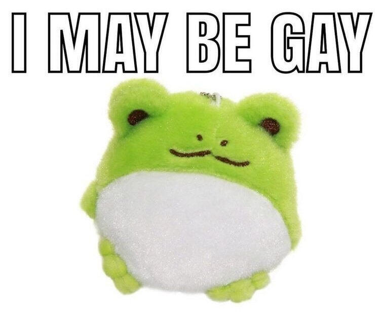 round plush frog with text above it that says "I may be gay"